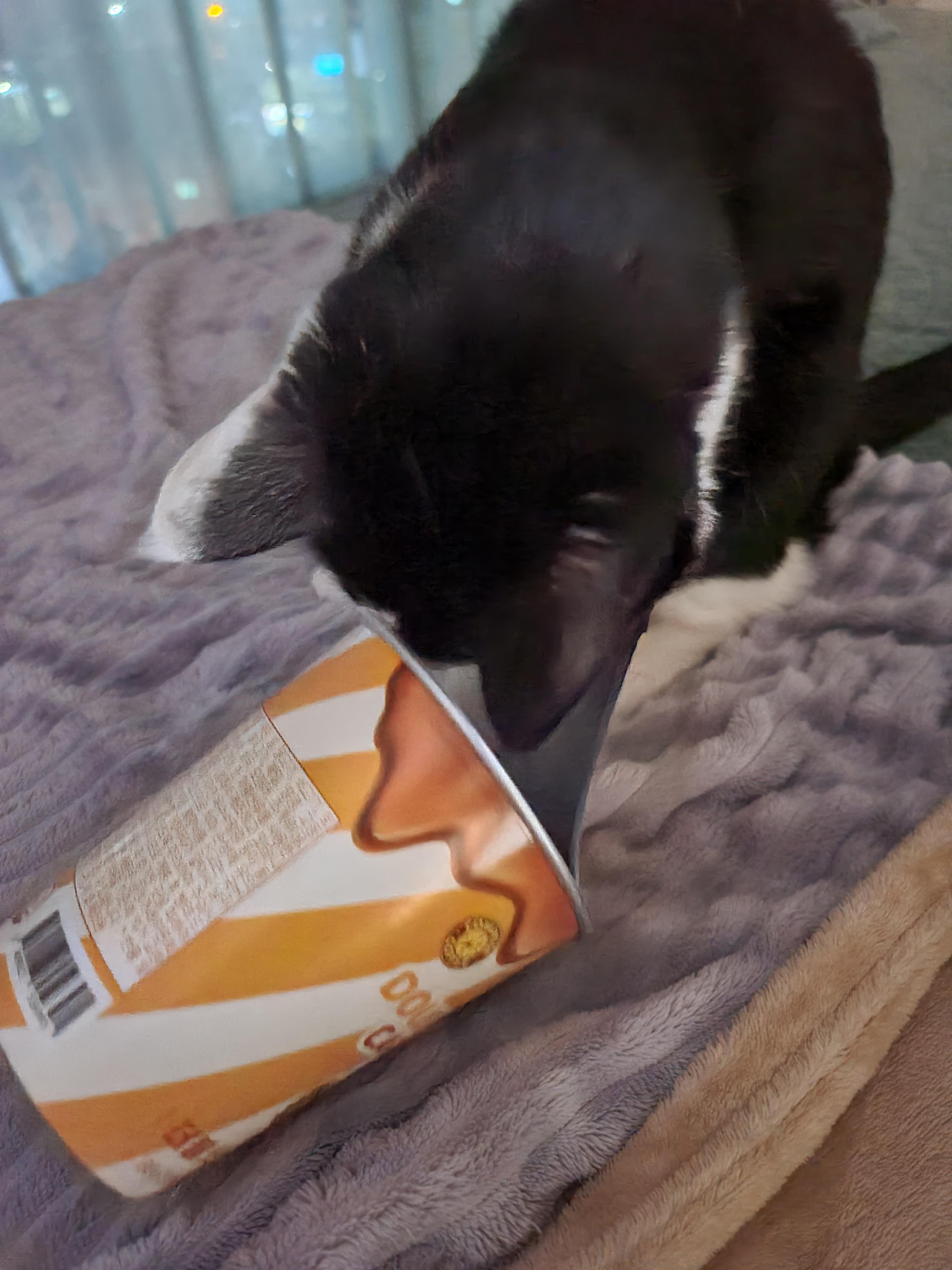 엄마 간식에 관심이 많은 막둥이 라인 ㅋ(딸VS아들 반응)