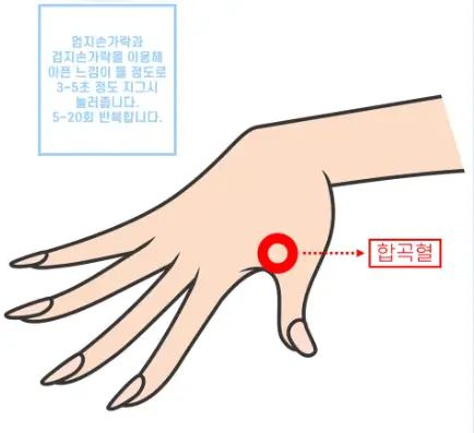 내관혈과 합곡혈 위치