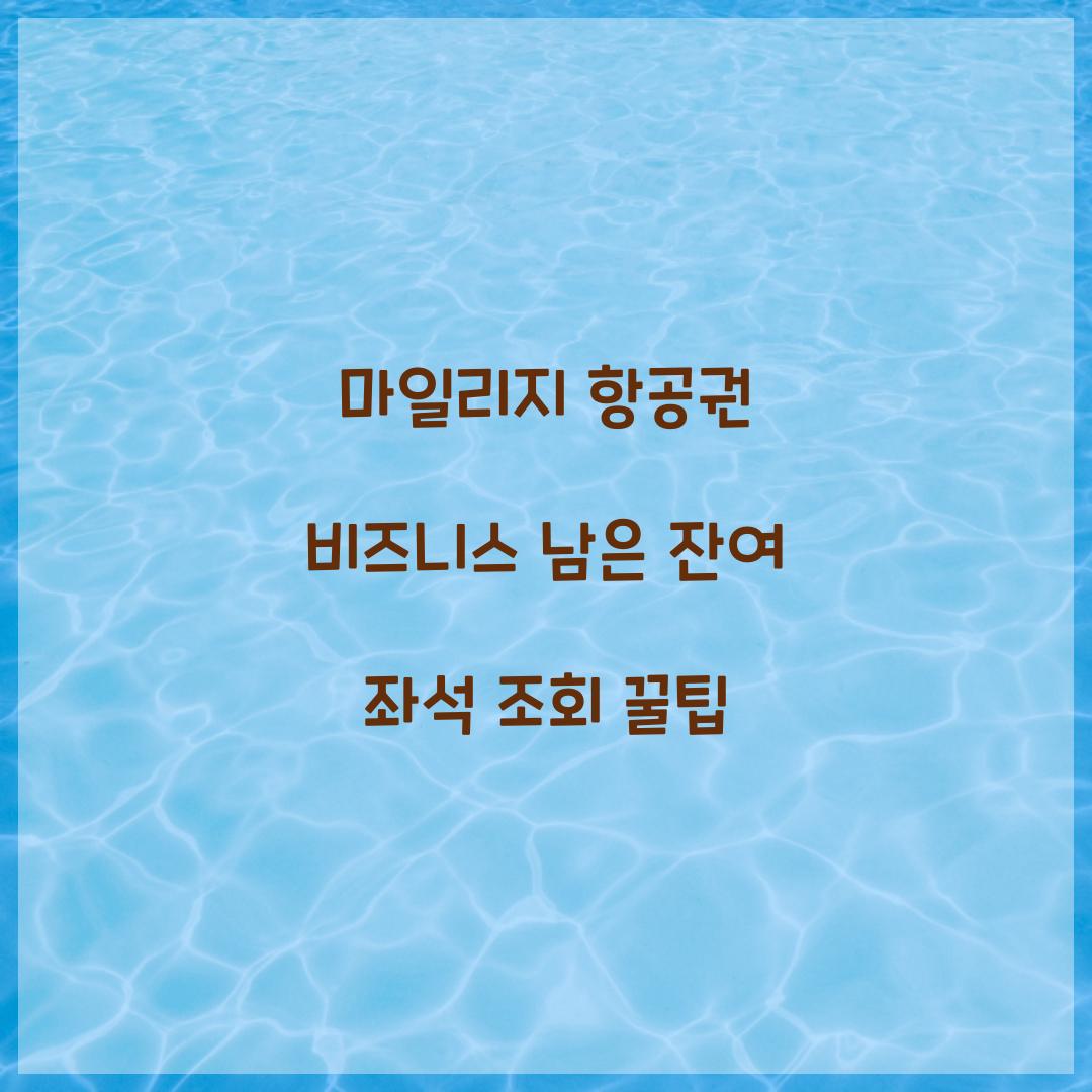 마일리지 항공권 비즈니스 남은 잔여 좌석 