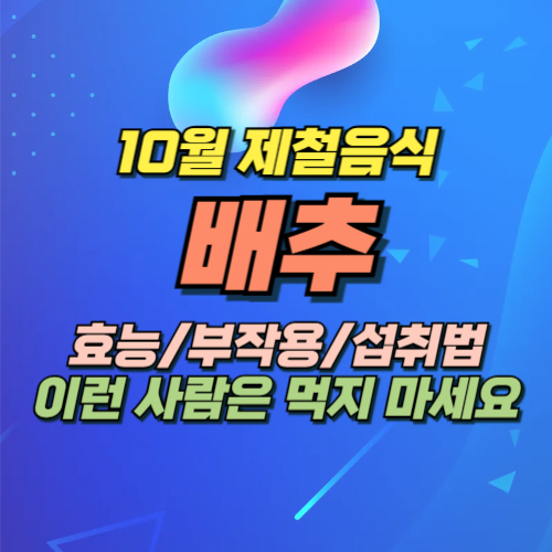 10월 제철음식 배추