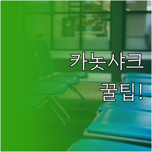 카놋샤크 항공 인천공항 제1터미널 이..