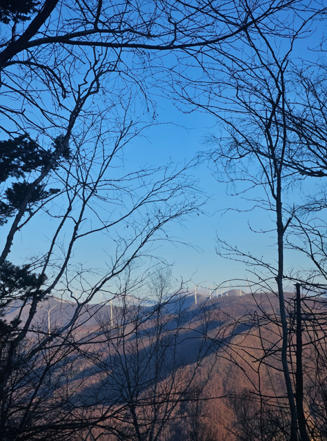 태백산 등산 중 사진