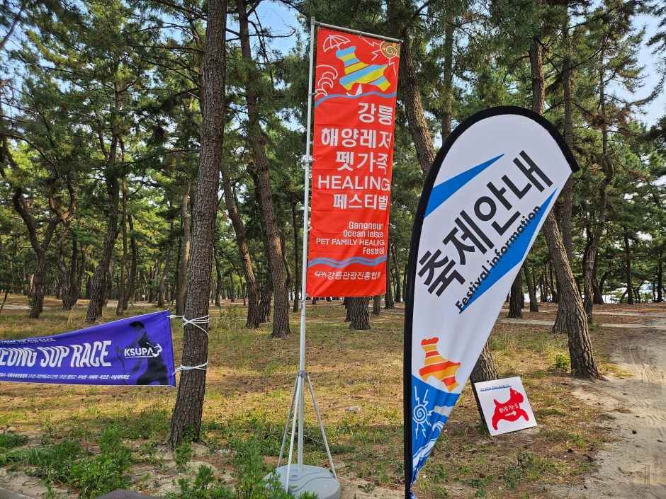 강릉해양레저 펫가족 힐링페스티벌