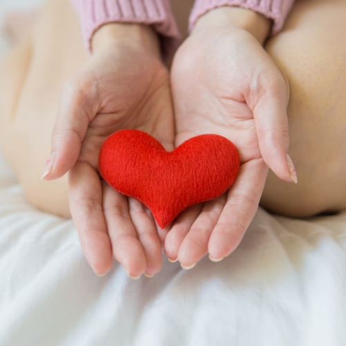 알뜰교통카드 신청