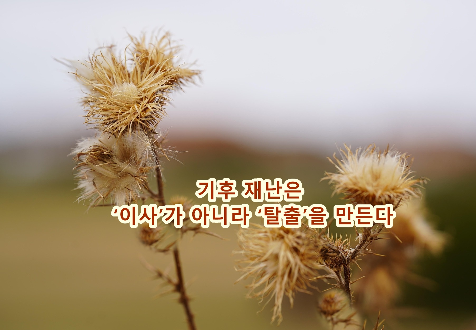 기후 재난은 &lsquo;이사&rsquo;가 아니라 &lsquo;탈출&rsquo;을 만든다