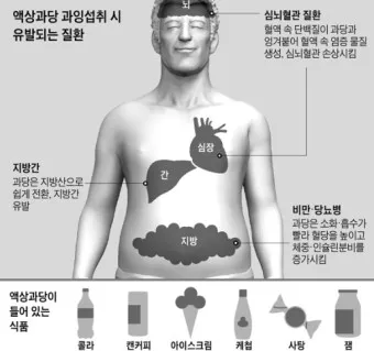 액상과당 종류 특싱 유해성 판단_5