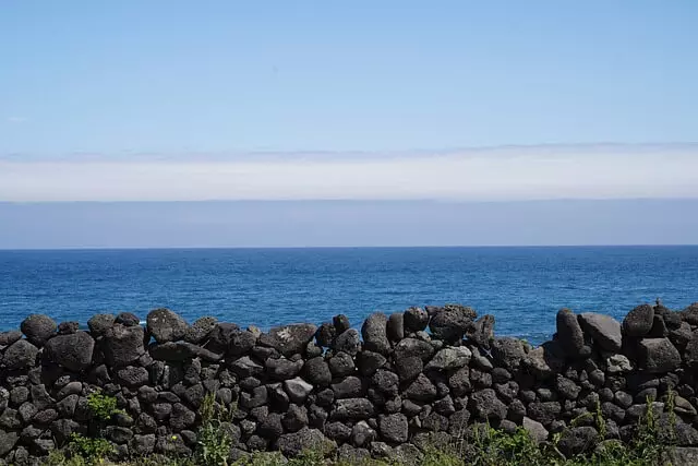 제주도-관련-이미지