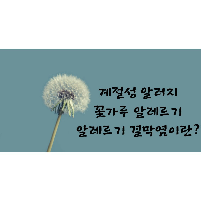 계절성 알레르기&#44;꽃가루알레르기&#44;알레르기결막염이란?
