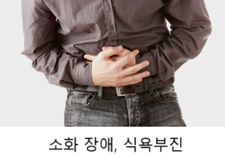 갱년기