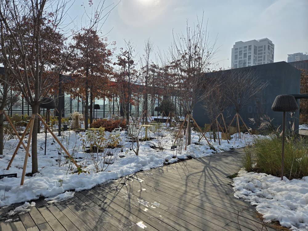 송도 웁스어데이지