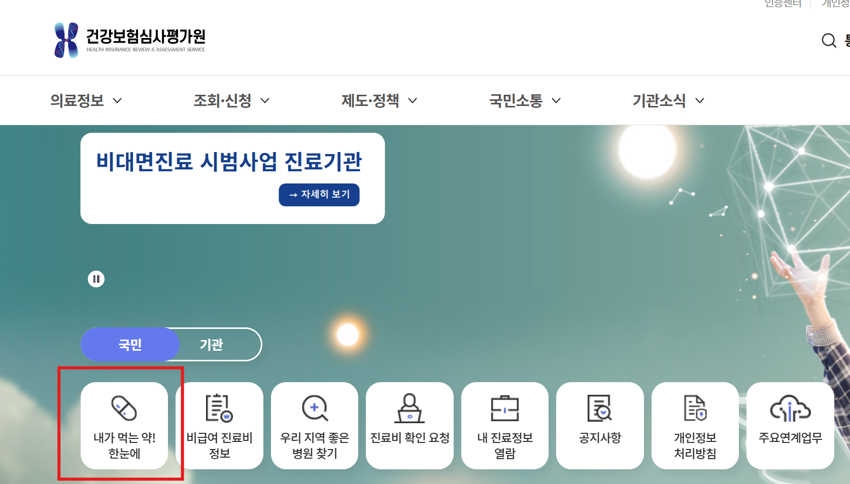 내가 먹는 약 한눈에 서비스