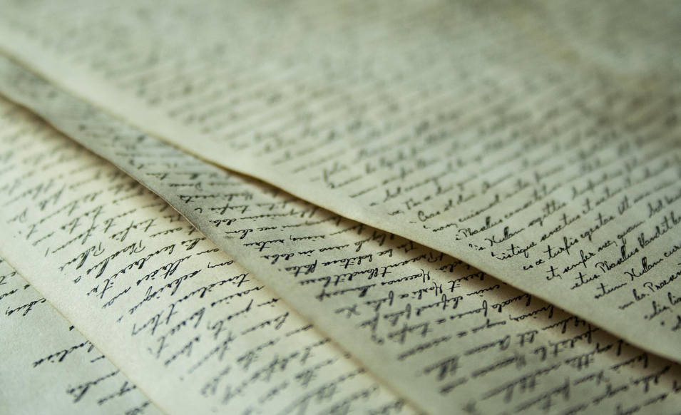 영화작가 이미지