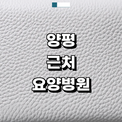 양평군 요양병원