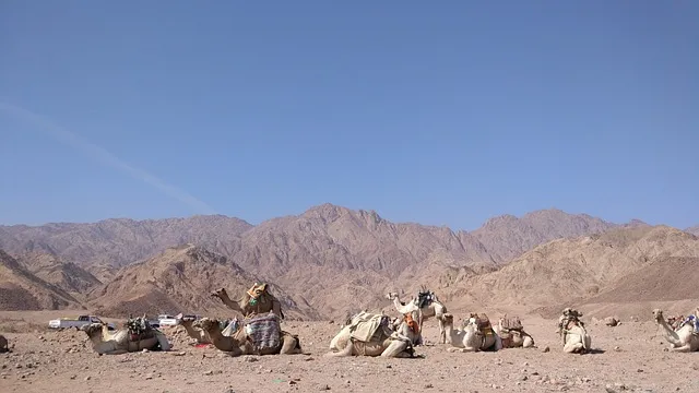 무더위를 피해 떠나는 특별한 해외 여름 힐링여행 추천_3