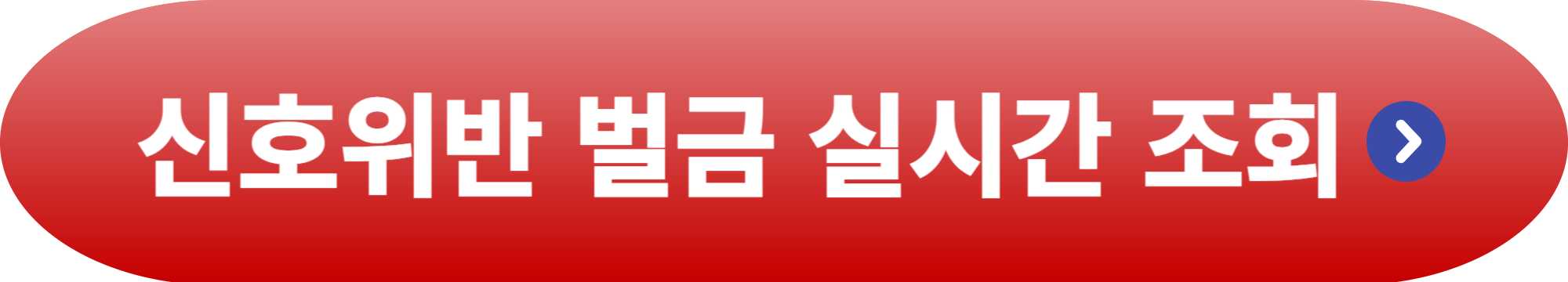 신호위반 벌금