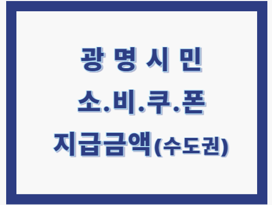 광명시 소비쿠폰