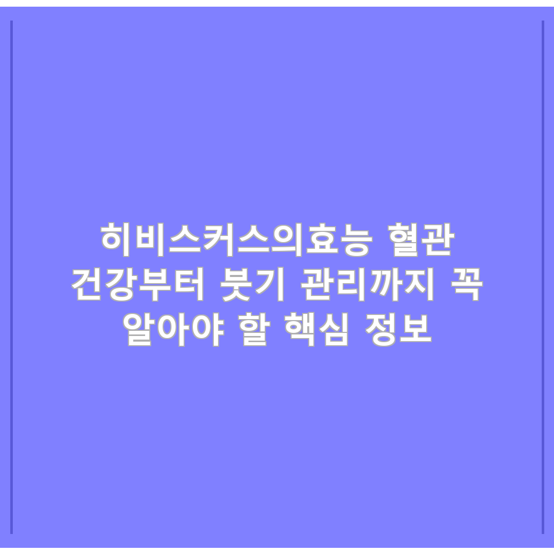 히비스커스의효능 혈관 건강부터 붓기 관리까지 꼭 알아야 할 핵심 정보