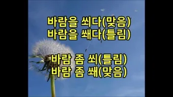 바람 쐬다 쐐다 맞춤법 설명_16