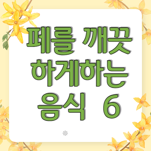 페를 깨긋하게 하는 음식