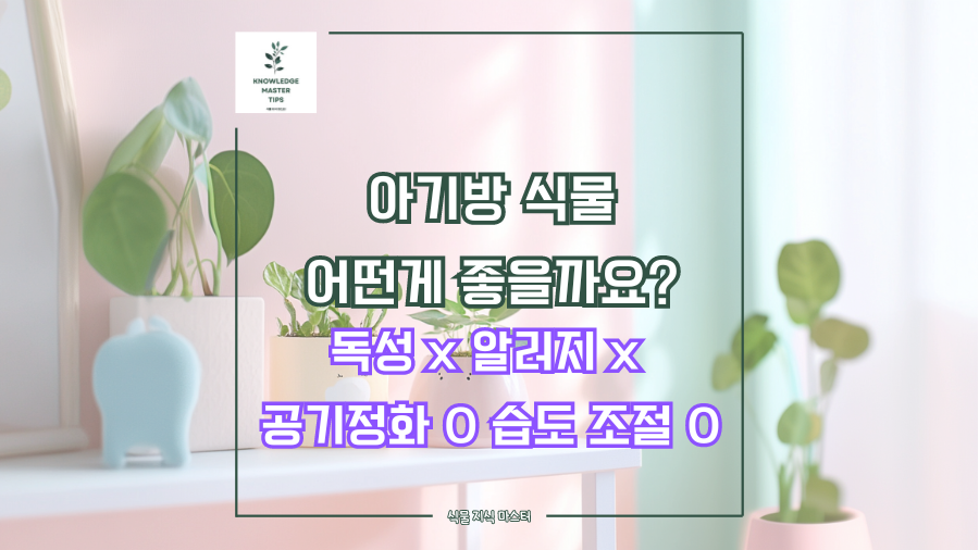 아기방 식물, 어떤게 좋을까요? 아기에게 안전한 무독성 식물 BEST 5