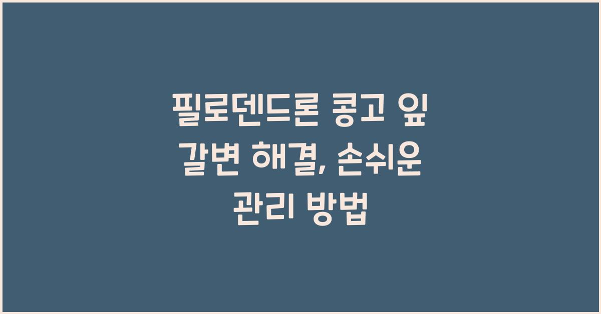 필로덴드론 콩고 잎 갈변 해결