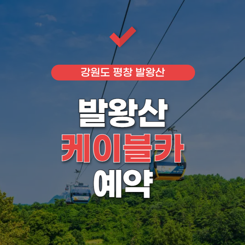 발왕산-케이블카-예약-홈페이지-썸네일