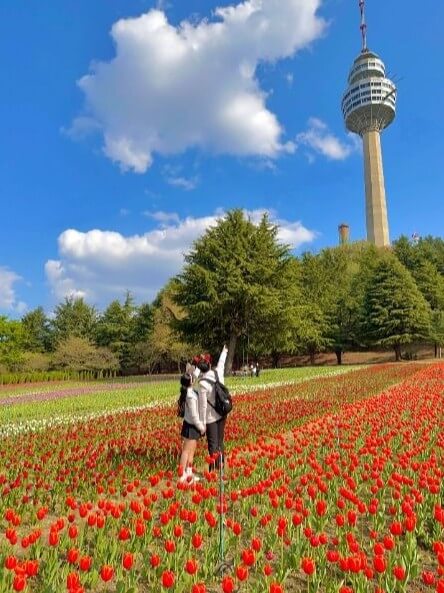 2025 대구 이월드 '튤립 트래블' 축제! : 네덜란드 감성 그대로 즐기는 봄 꽃 축제!