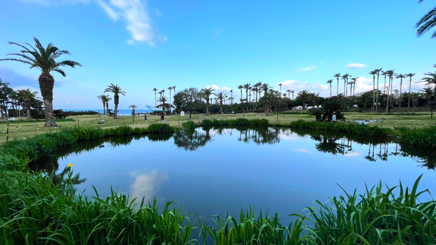 소노캄 제주 리조트 야외정원 연못