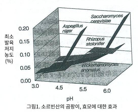 곰팡이효모저지