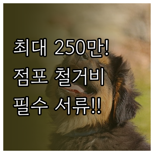 폐업 소상공인 점포 철거비 지원금 신..