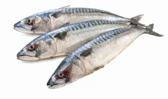 고등어 굽는 방법 비린내 잡기 레시피_7