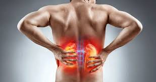 콩팥이 안 좋으면 나타나는 증상