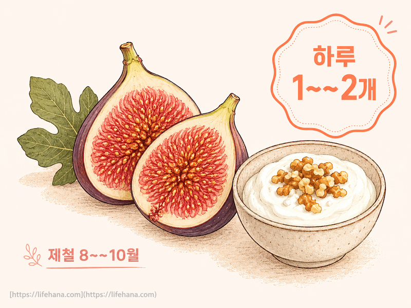 하루 몇 개까지가 적당할까요?