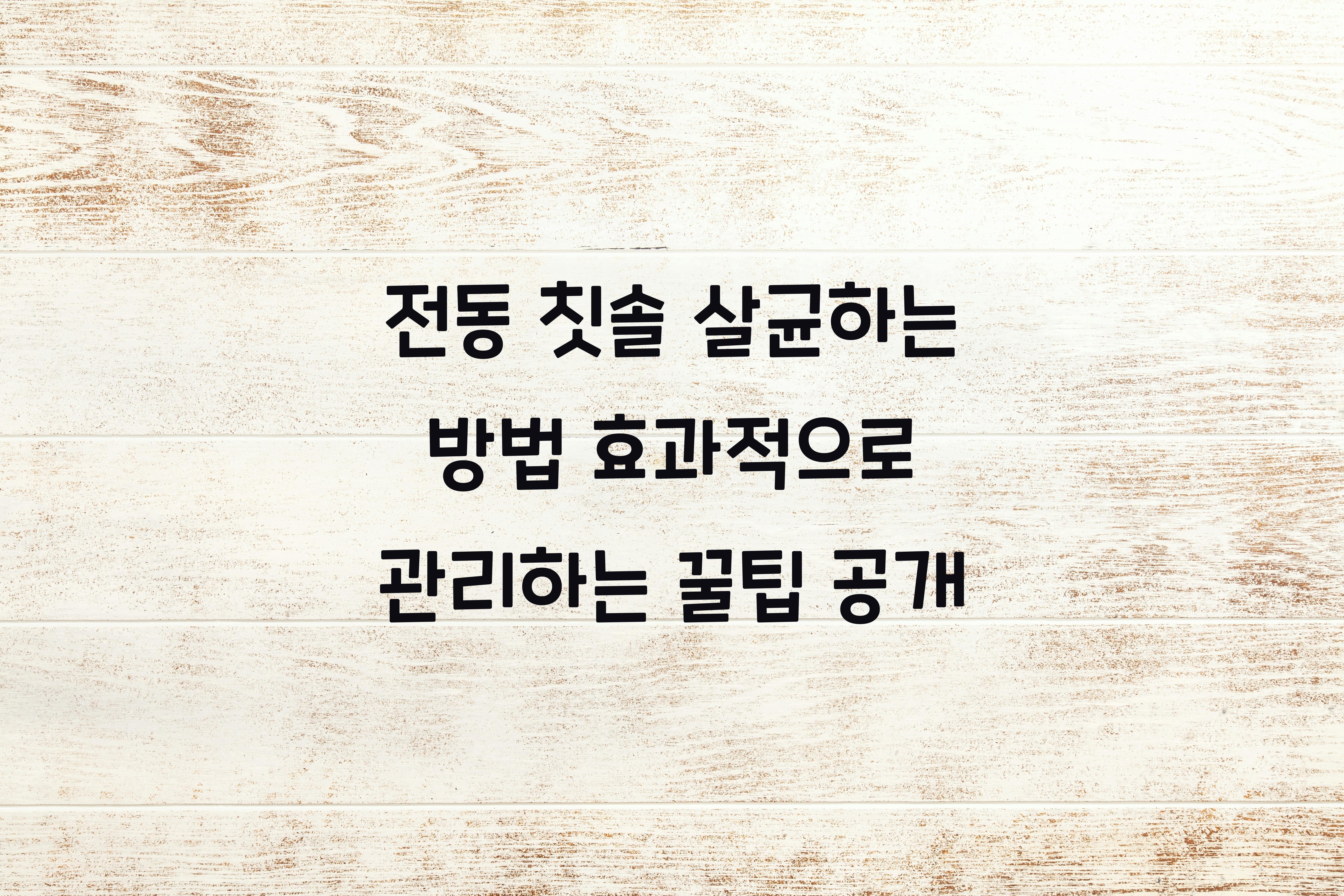 전동 칫솔 살균하는 방법