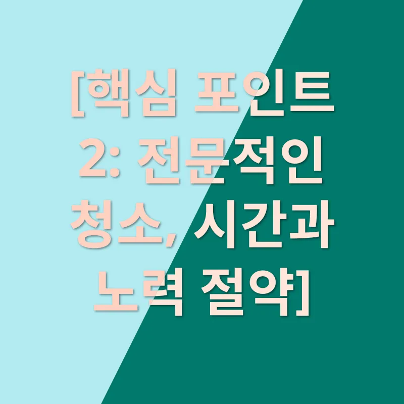 새집 청소_2