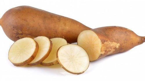 야콘 효능 부작용, 맛있게 먹는법 알고 먹기