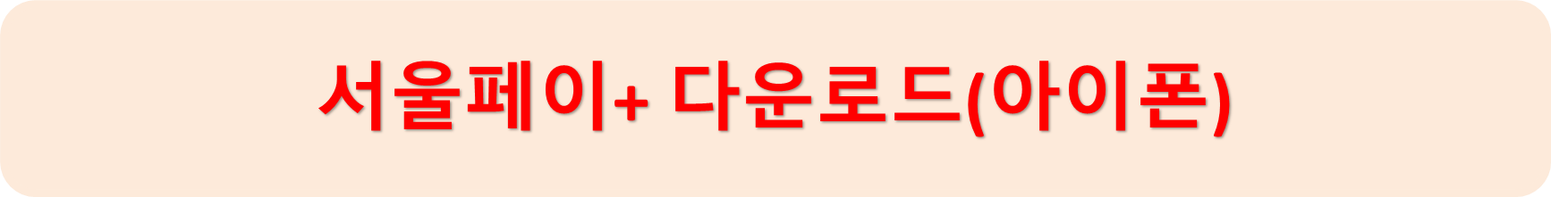 서울페이아이폰