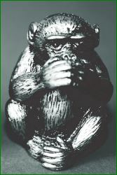 Monkey