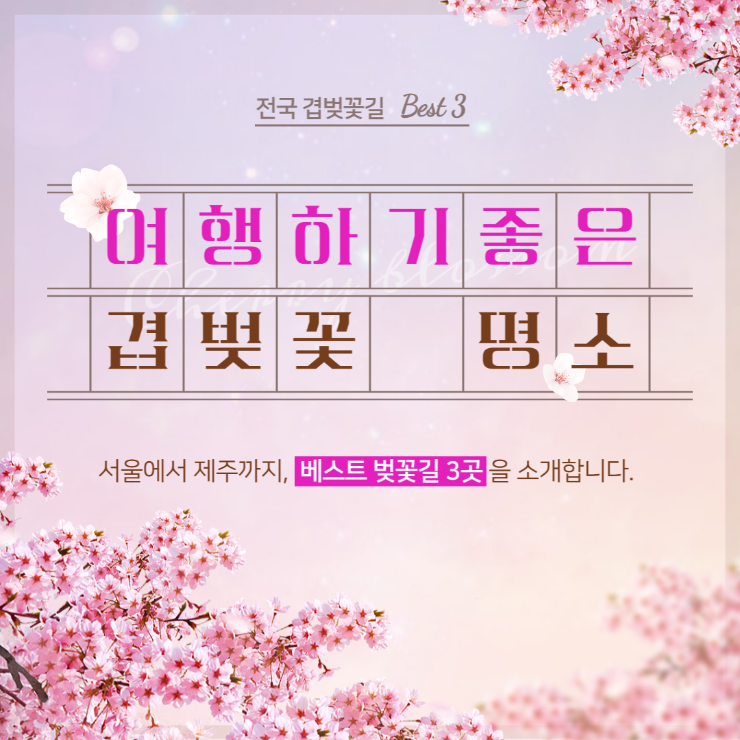 겹벚꽃 명소