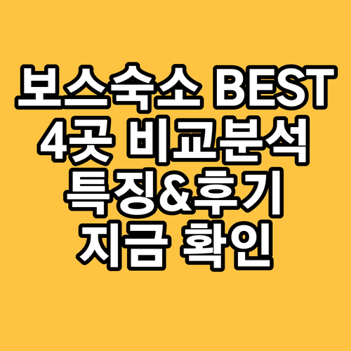 보스 숙소 추천 4곳 특징과 후기 비