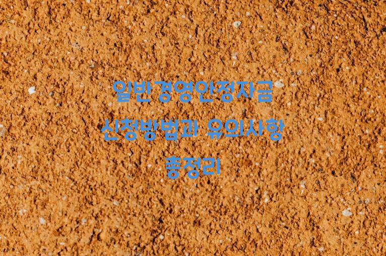 일반경영안정자금