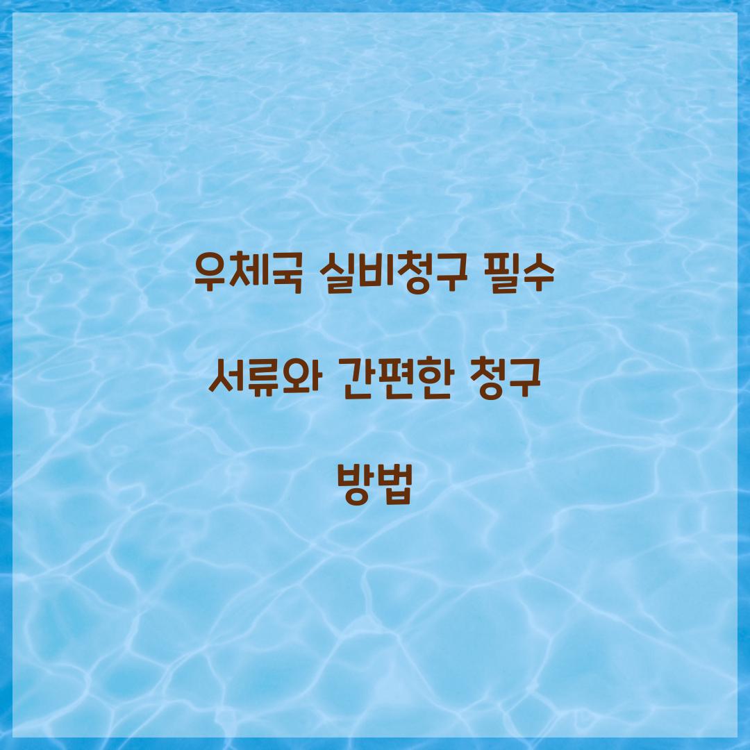 우체국 실비청구