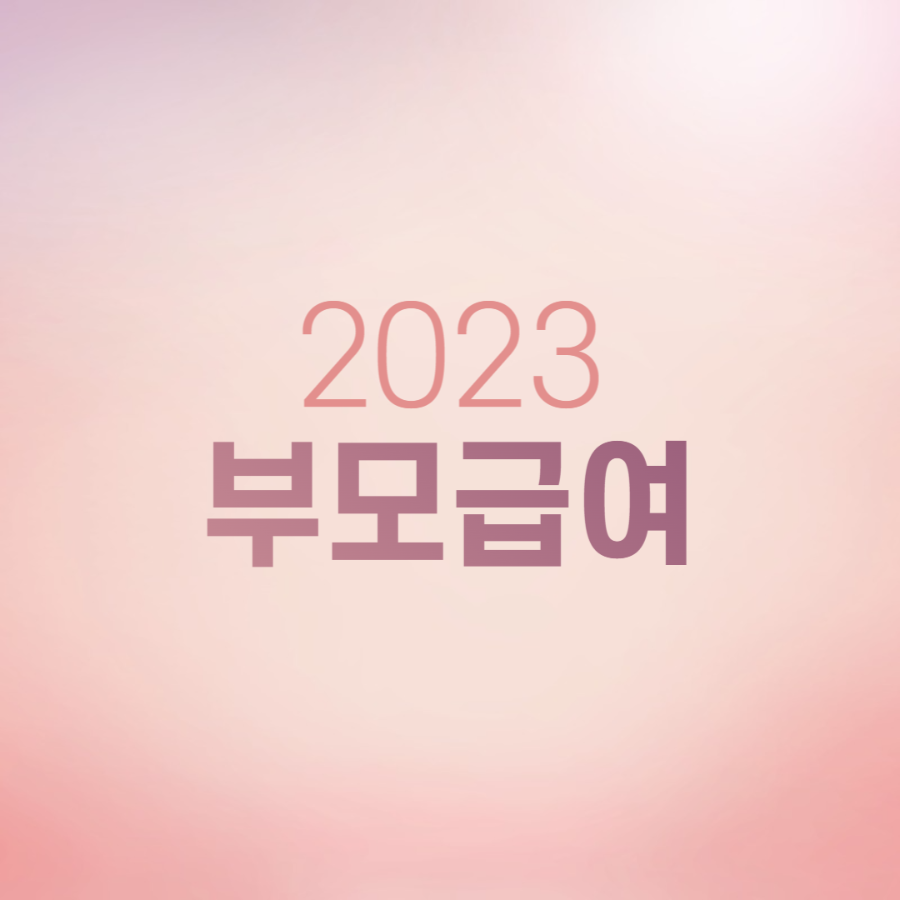 2023 출산 지원금