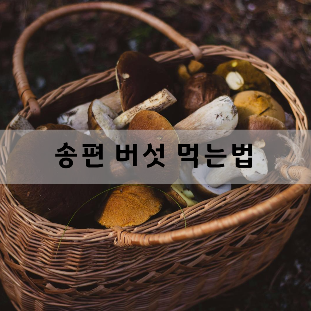 송편-버섯-먹는-법