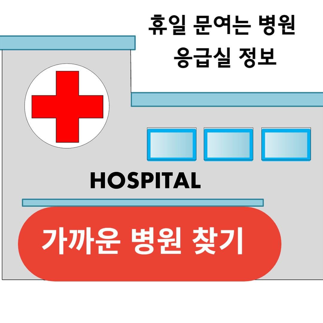 추석 연휴 휴일 문여는 병원 응급실 정보 찾기