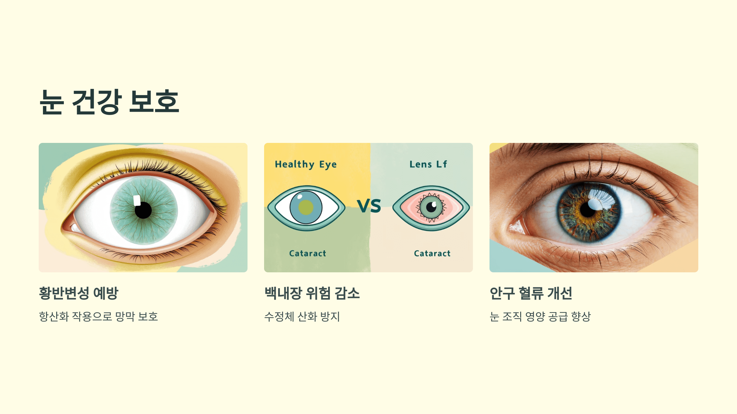 비타민C와 관련된 사진입니다.