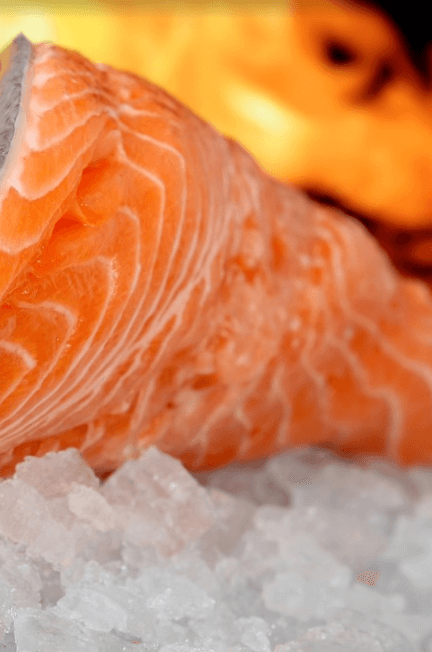 연어 고기