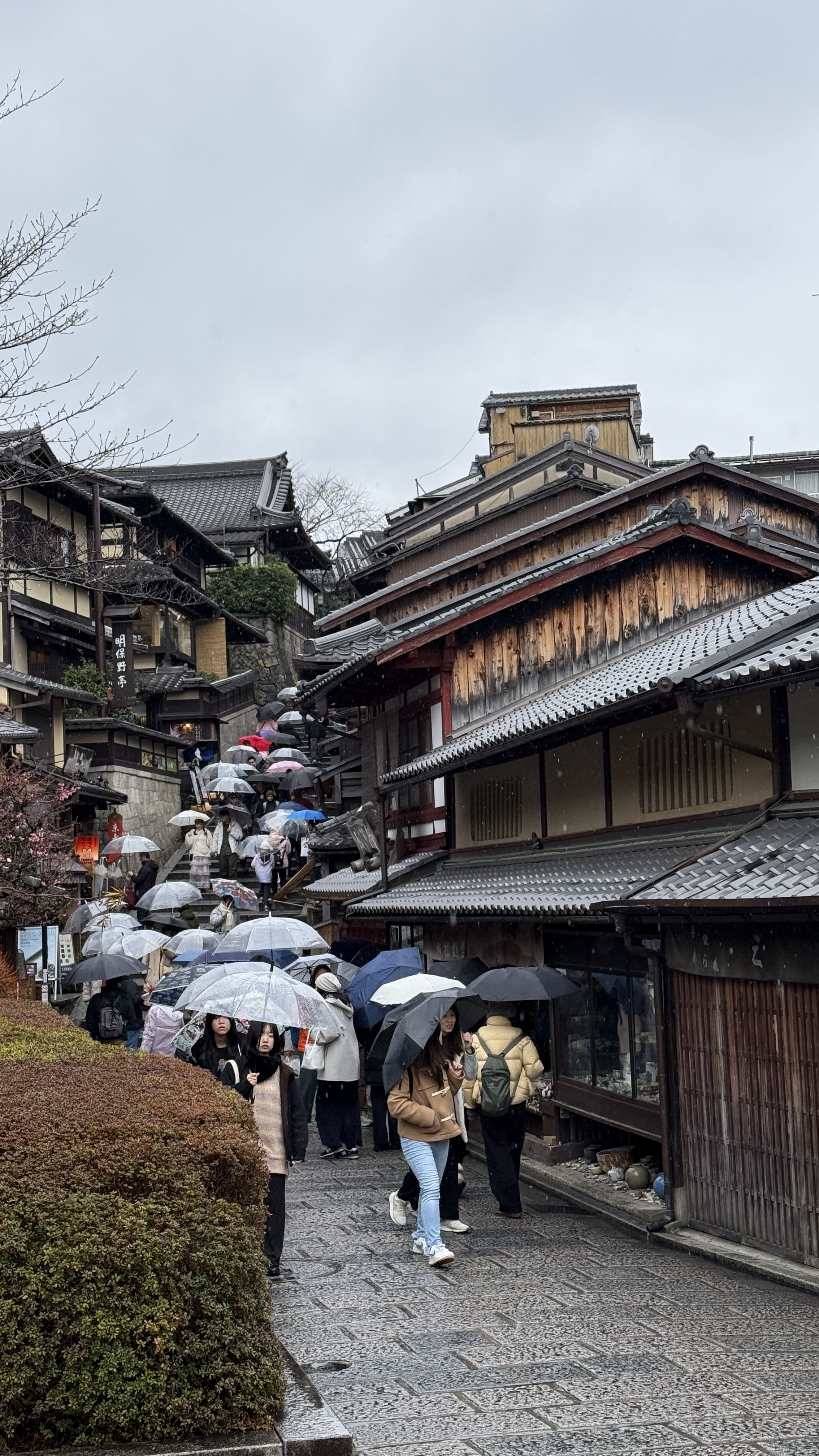 교토여행-기요미즈데라-가이세키-점심-파크-하얏트-교토