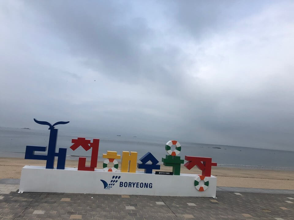 대천 짚라인 가격