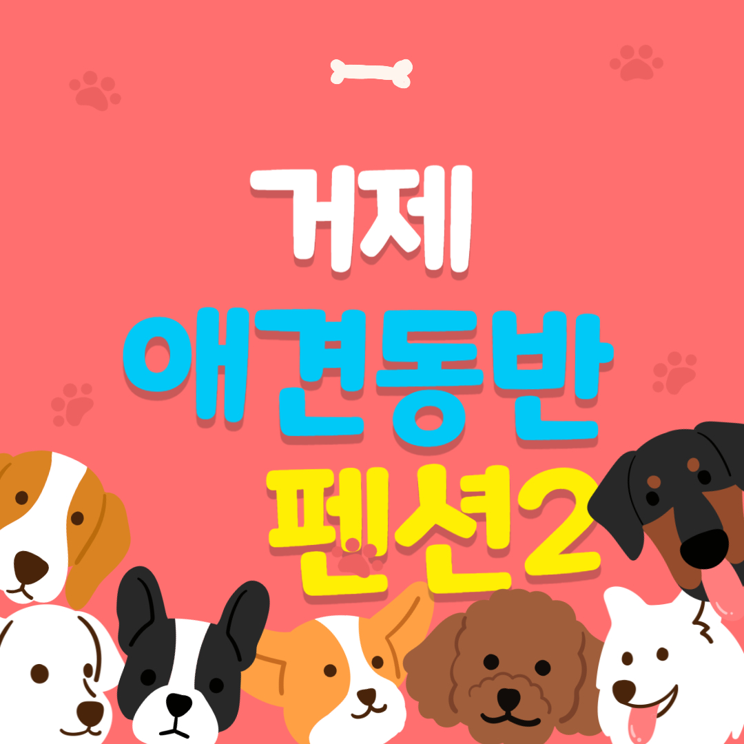 거제 애견동반 펜션